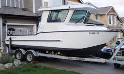 2005 - 22 foot stormrunner aluminum fishing boat 2007 225 hp suzuki outboard and matching 9.9 hp kicker with electric start which have both been serviced mid-october.
 
This boat comes equipped with gps/plotter and sounder - vhf marine radio, front window
