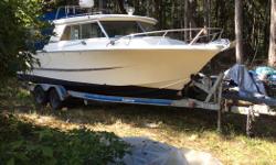 25' Double Eagle with two 115 Yamaha long shaft 4 stroke motors with very low hours and 9.9 Yamaha kicker 4 stroke with pod. Brand new 55 gallon gas tank. Two bran new deep cycle batteries. Front and rear steering. Mount for electric down rigger. GPS,
