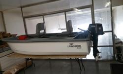 Livingston 9ft Catamaran with 6 hp Yamaha 2 stroke motor. Now with aluminum compartments to keep all your gear out from under foot, and adjustable seats so you sit up higher and can slide fore and aft to adjust weight distribution. Known to be stable and