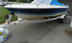 I have a early 1990s Doral 90HP powerboat. This is a great starter boat for a young family. Uses minimal gas, and has enough power for wakeboarding, waterskiing and tubing. Comes with two batteries, as well as a tube that I only used once this year.
The