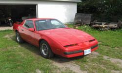 1986 Pontiac Firebird, red with grey int,immaculate cond,only 39000 km,never seen winter,350 smallblock,comp cam s#uu9401-06,3 in dynamax exhaust,headers,TH350 with stage 3 kit,373 gears,comp gauges,new heads,rotors,pads,calipers,ps,pb,pw,int